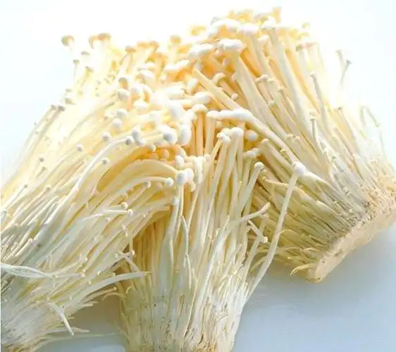 팽이버섯 효능