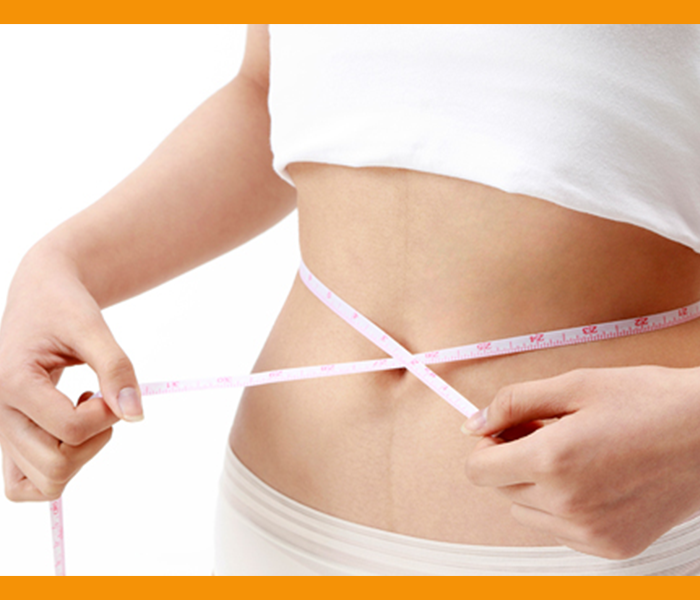 초석잠 효능 - 체중감량 및 다이어트효과