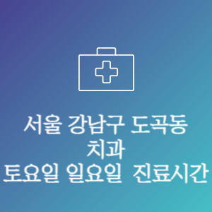 서울 강남구 도곡동 치과 주말 토요일 일요일 문여는 병원 진료시간