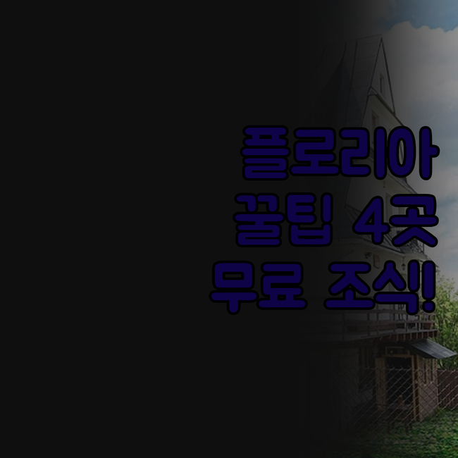 플로리아노폴리스 숙소 추천 4곳 장점..