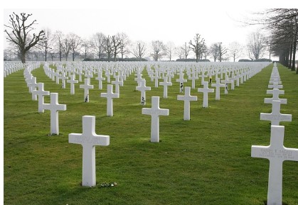 원주 벌초 대행