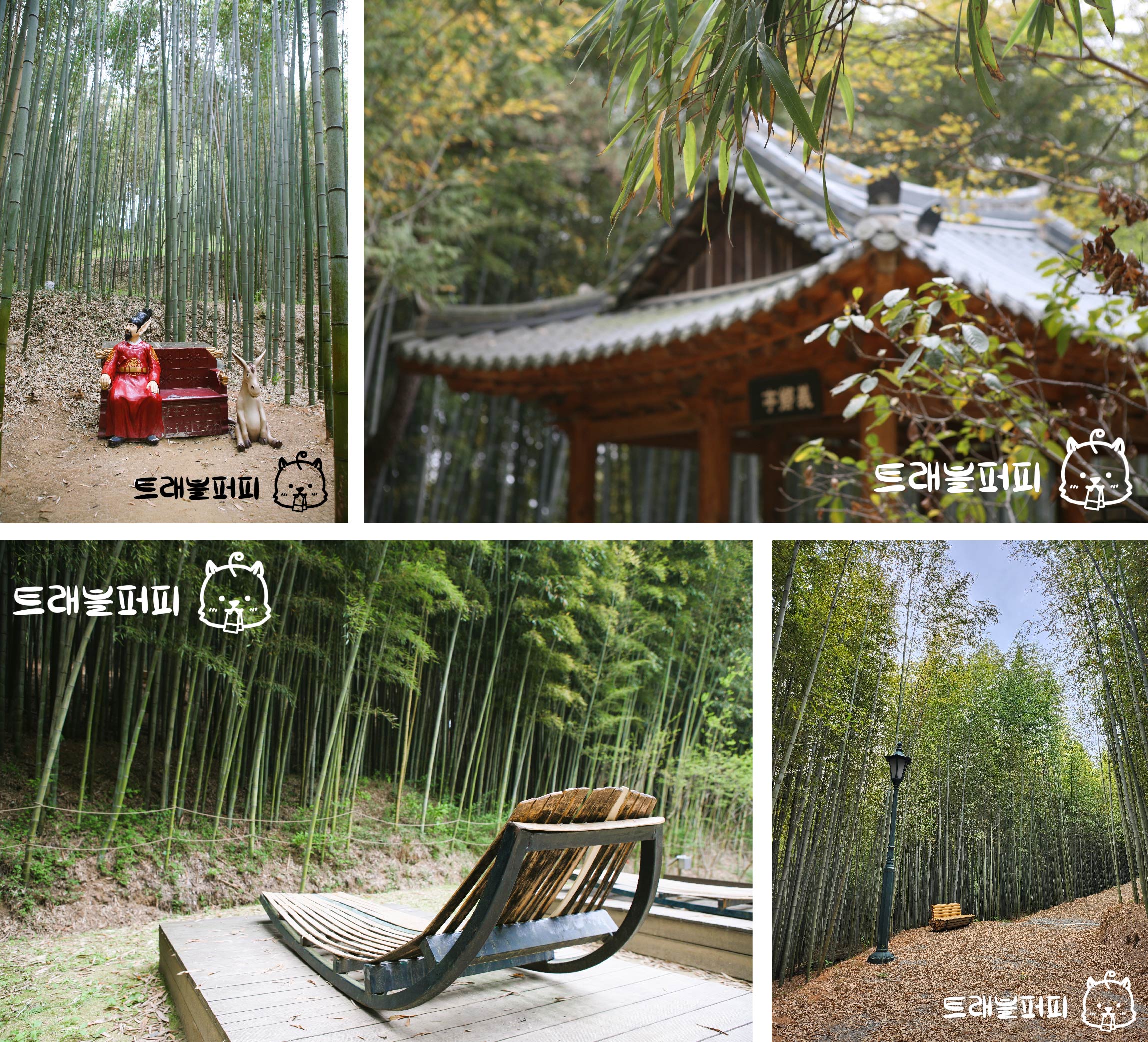 죽녹원 대표 사진.