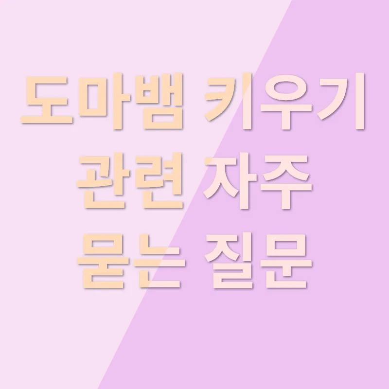 도마뱀 키우기 포인트_4