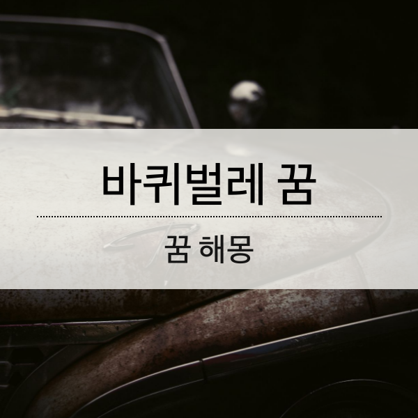 바퀴벌레 꿈