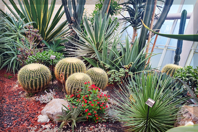 12월 여행지 추천 국내 여행지 추천 10곳