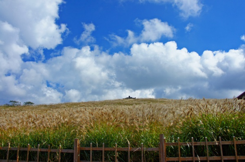 가을 여행지 추천