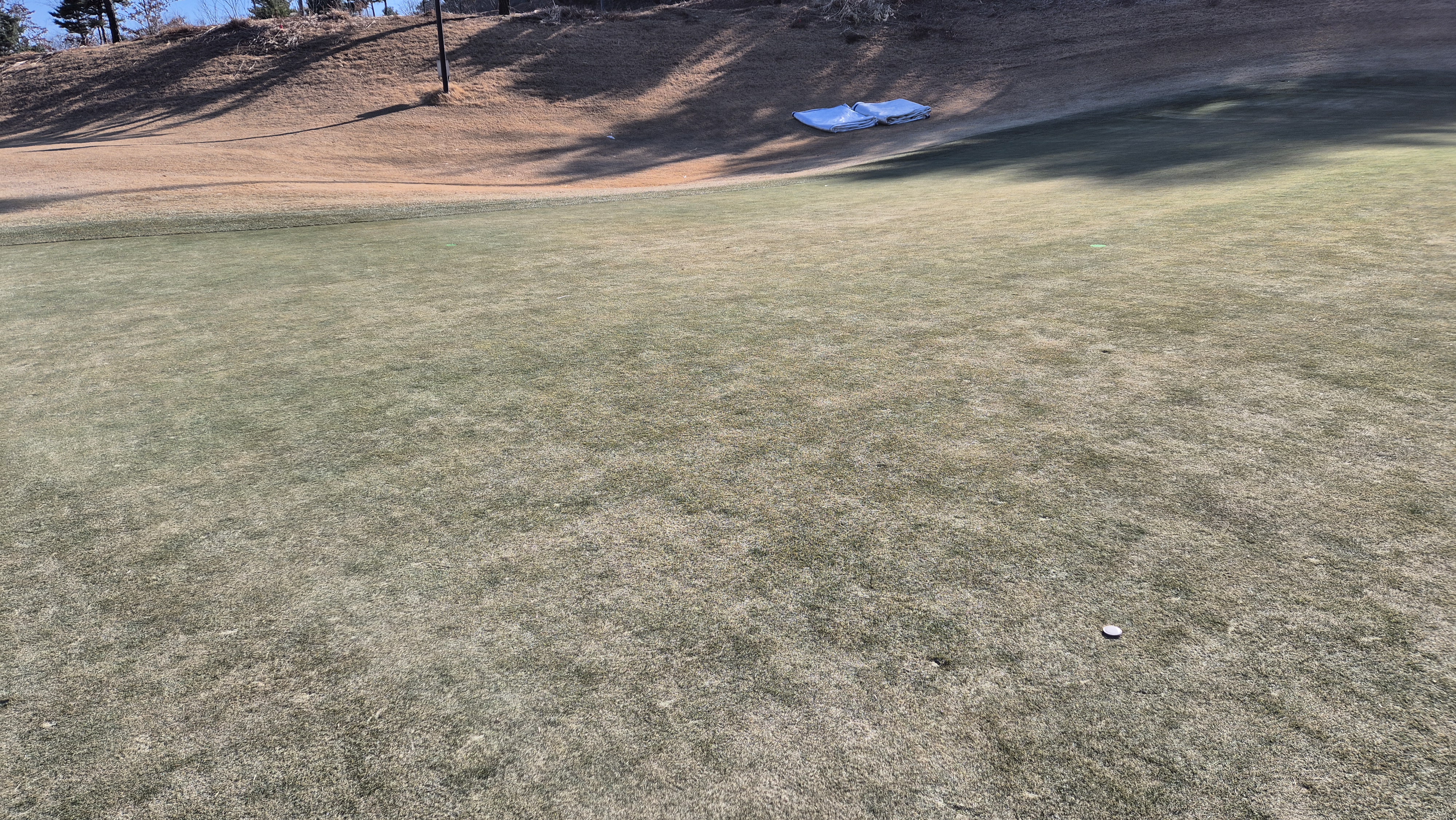 더크로스비gc 아리아-샬롯 코스 그린빠르기 및 난이도