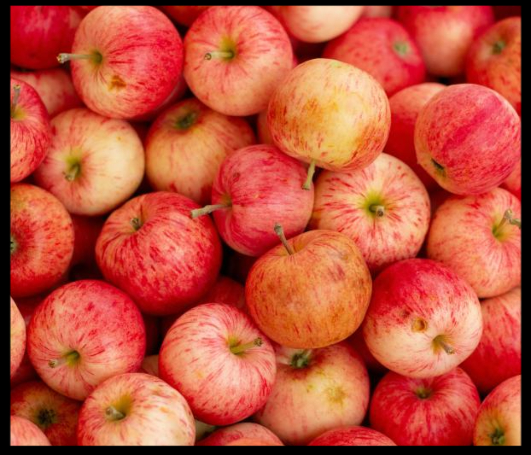 사과 효능 10가지 대해서