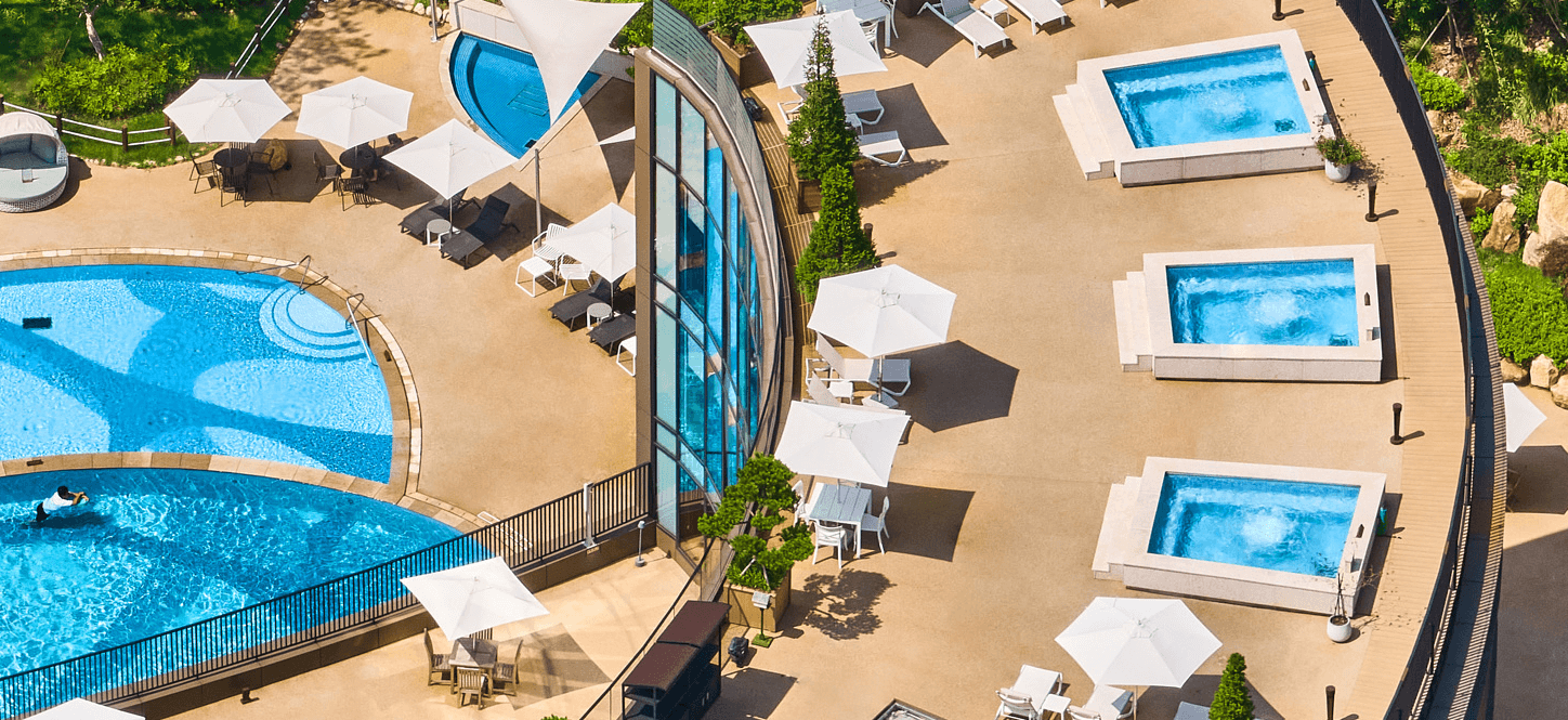 파라스파라 프라나오너스 관련 이미지