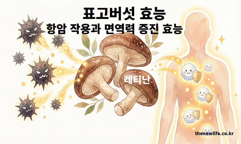 항암 작용과 면역력 증진을 돕는 표고버섯 효능