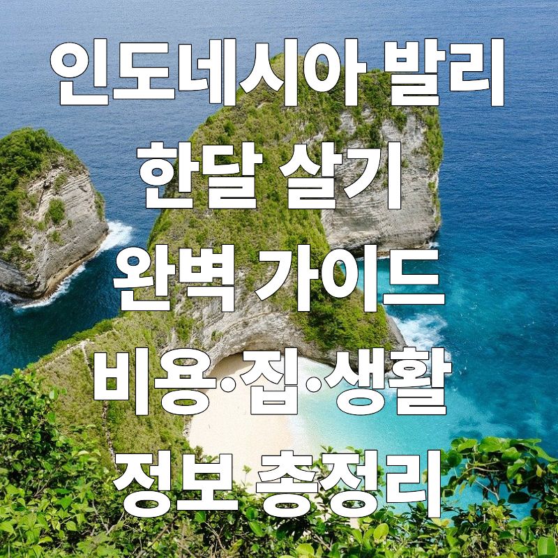 인도네시아 발리
한달 살기
완벽 가이드
비용·집·생활
정보 총정리