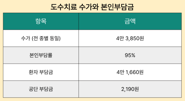도수치료 수가와 본인부담금
