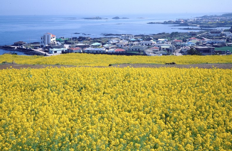 2025 근로자휴가지원금 40만원 신청하기