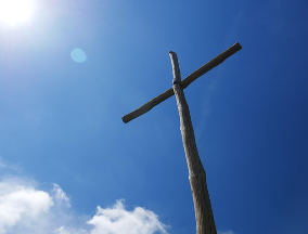 유흥식 추기경 프로필 총정리: 대통령과의 만남&amp;#44; 차기 교황 후보