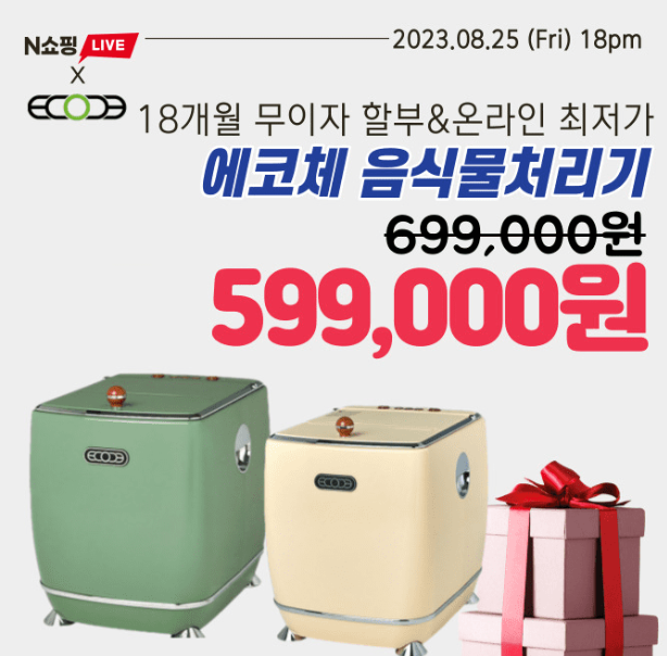 캐시닥 에코체 퀴즈 썸네일