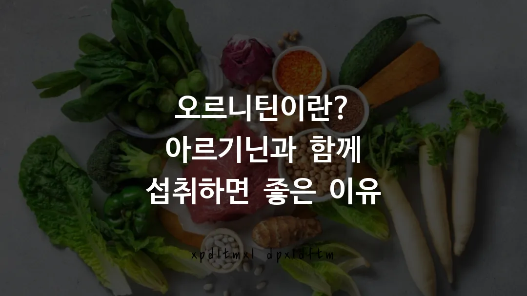 오르니틴이란? 아르기닌과 함께 섭취하면 좋은 이유