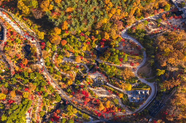 화담숲 단풍축제