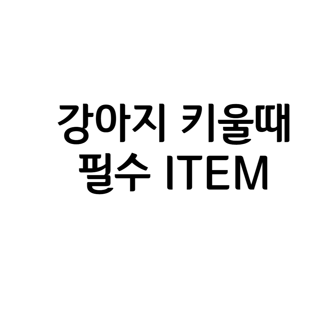 강아지 키울 때 꼭 필요한 필수 아이템 BEST 10 &amp; 추천 제품까지 총정리