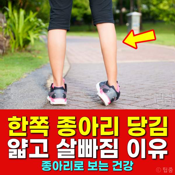 종아리 살빠지는 이유,종아리가 당기는 이유,종아리털빠지는이유