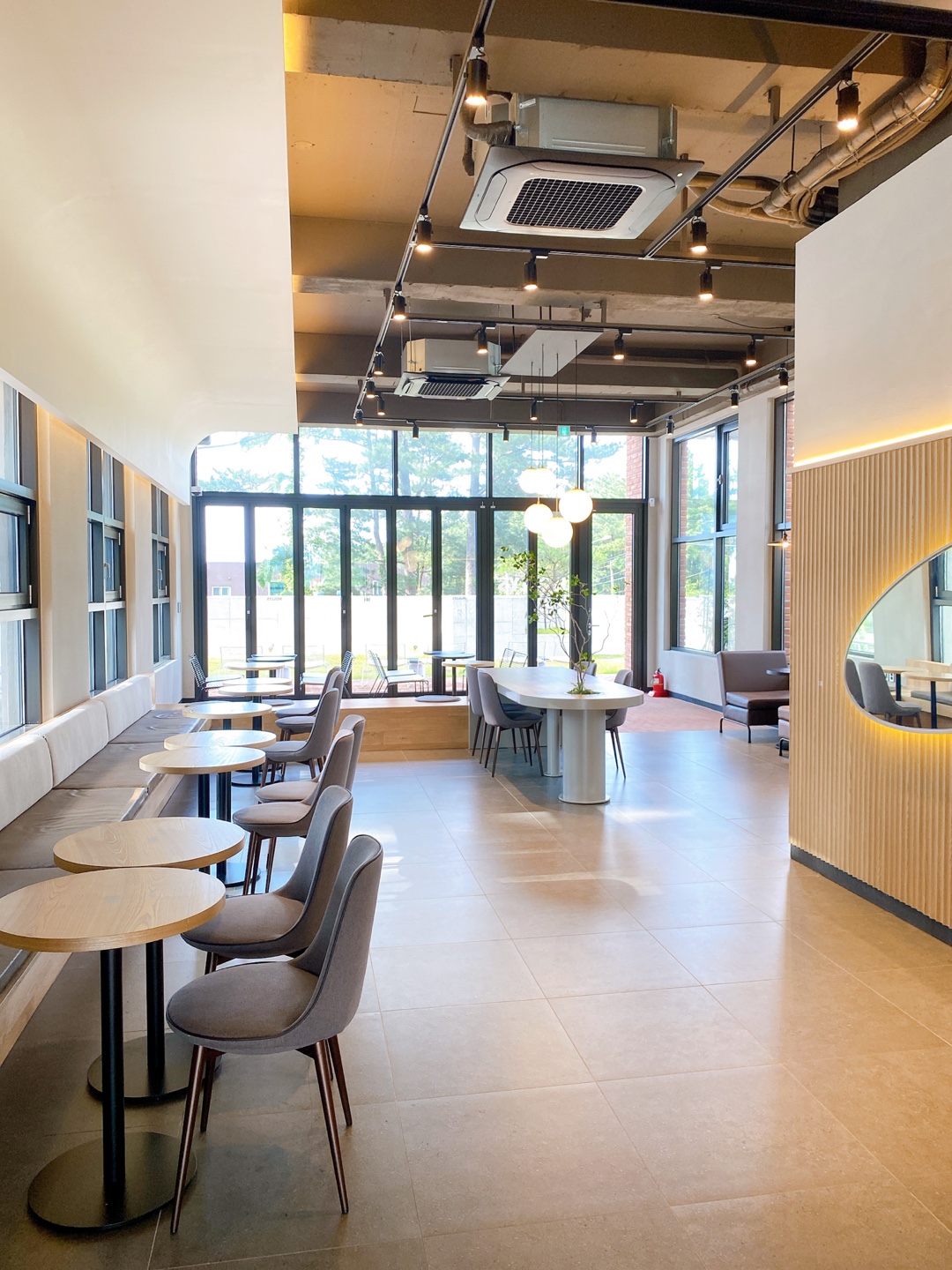 제주 애견 할리스 연북로점