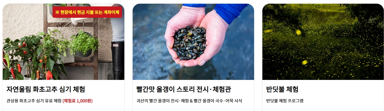 2025 괴산 빨간맛 페스티벌 전체 일정 한눈에 보기❘일정표, 가이드 지도 및 프로그램 사전 예약 안내