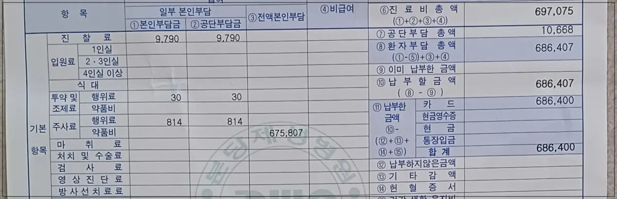 듀피젠트-주사치료-영수증
