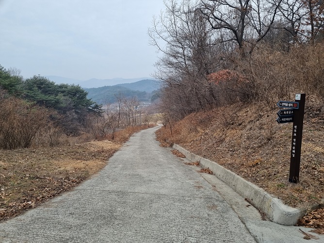 산막골로 내려가는 길