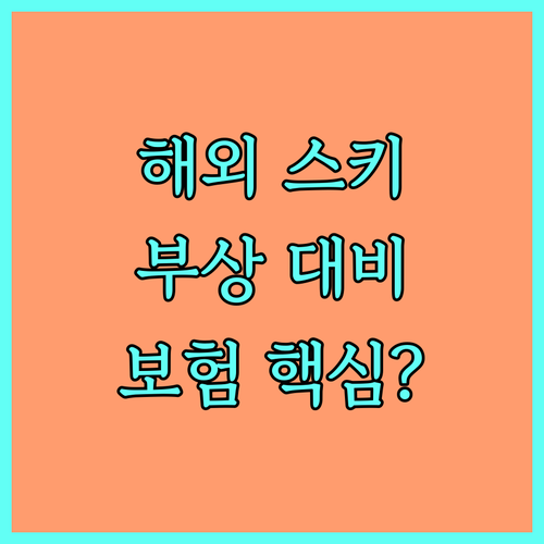 해외 스키장 사고 대비 특별 활동 담..