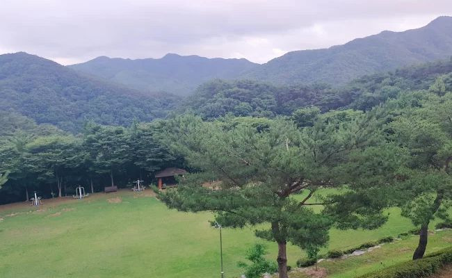 백아산 자연휴양림 
