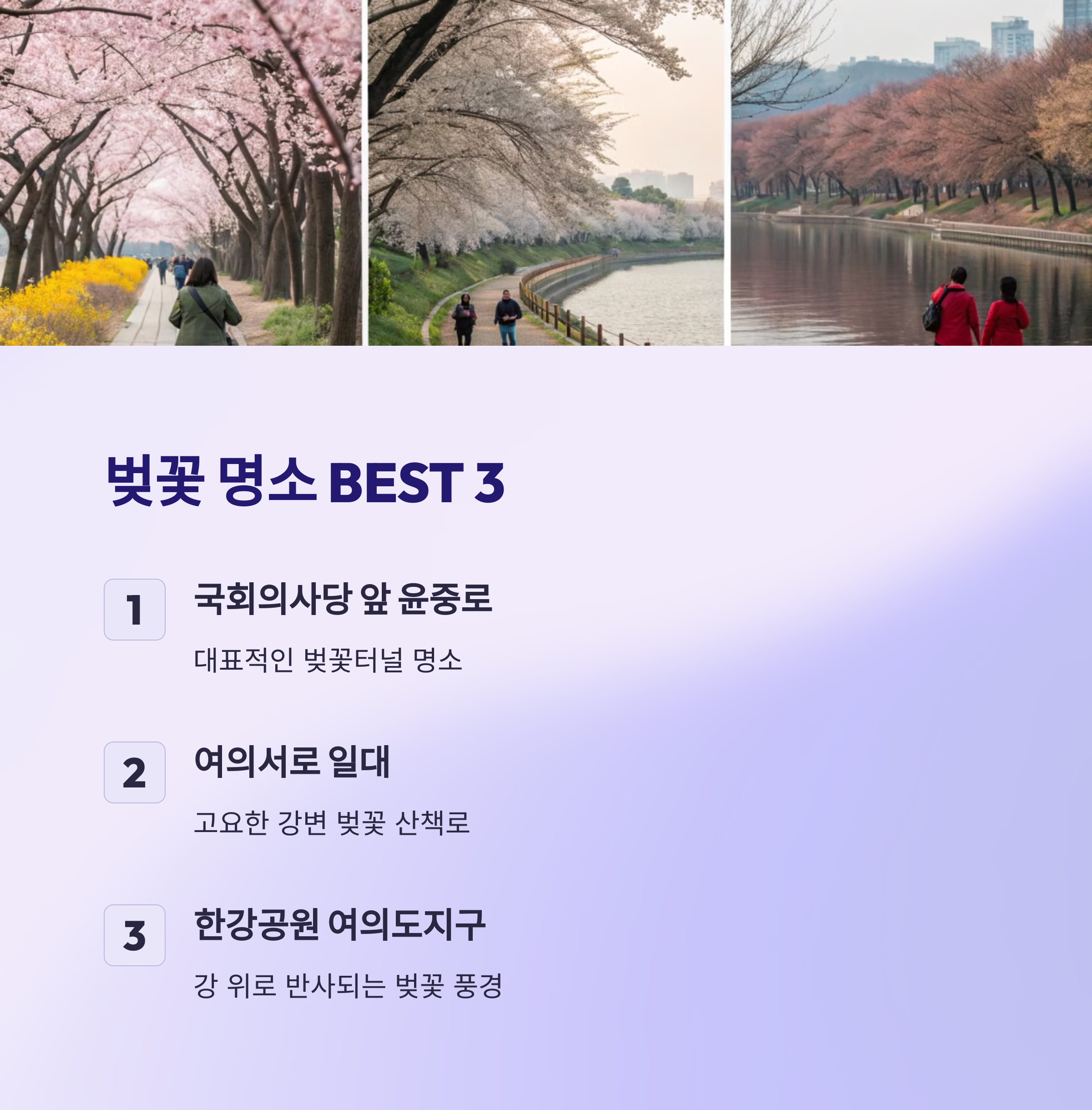 여의도 벚꽃 명소 추천 BEST 3