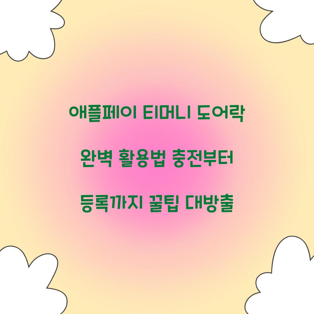 애플페이 티머니 도어락