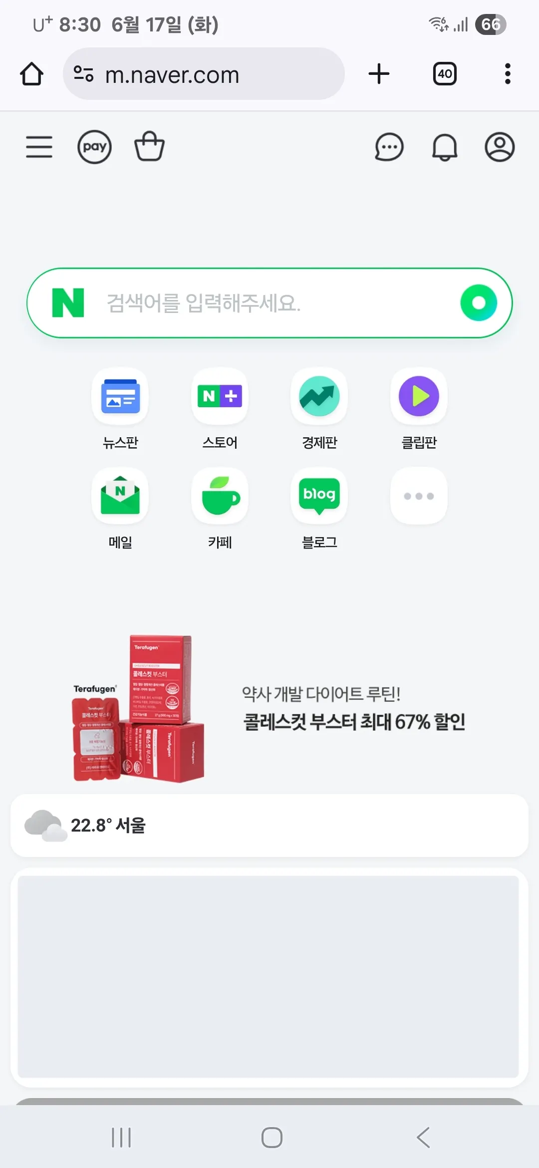 네이버 웹사이트