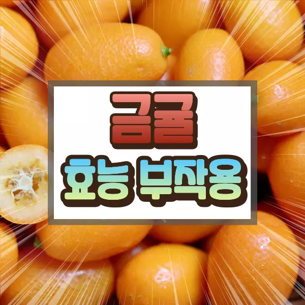 금귤 효능 부작용