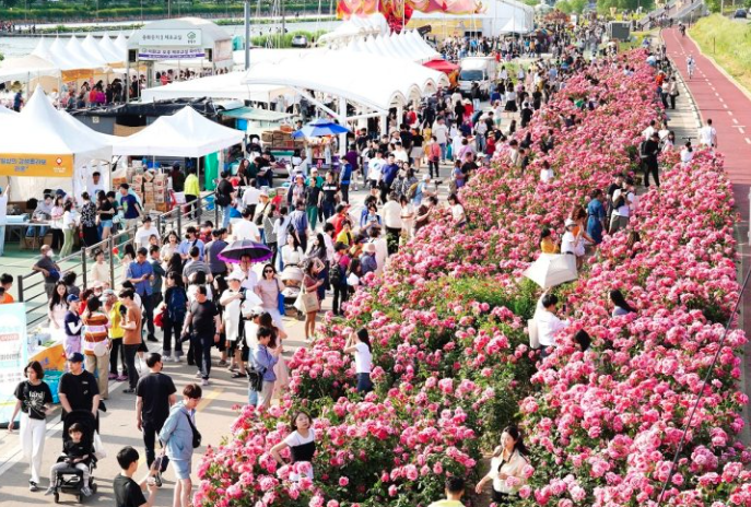 2025 중랑 서울장미축제