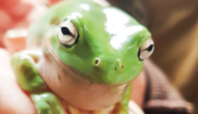 담양 곤충박물관