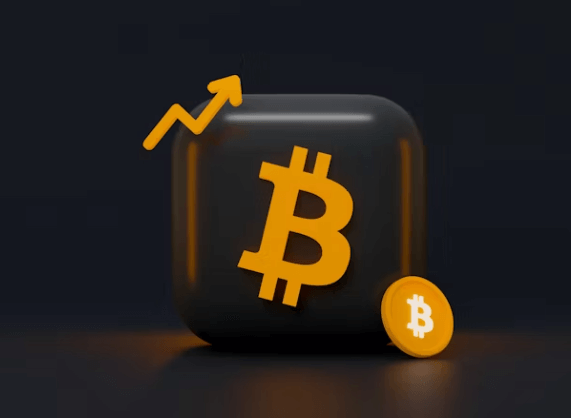 비트코인 0.5개 가치 분석! 암호화폐 장기 투자법