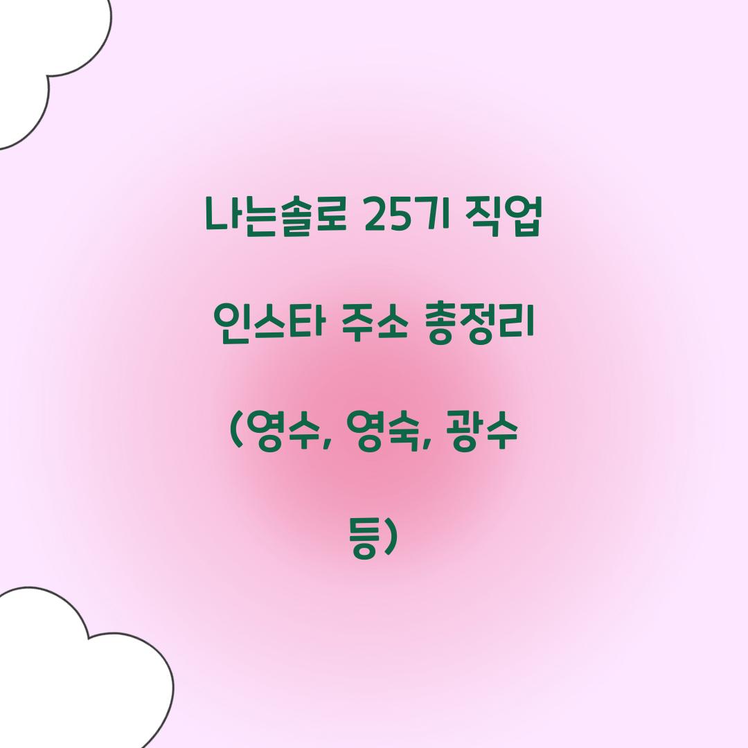 나는솔로 25기 직업 인스타 주소