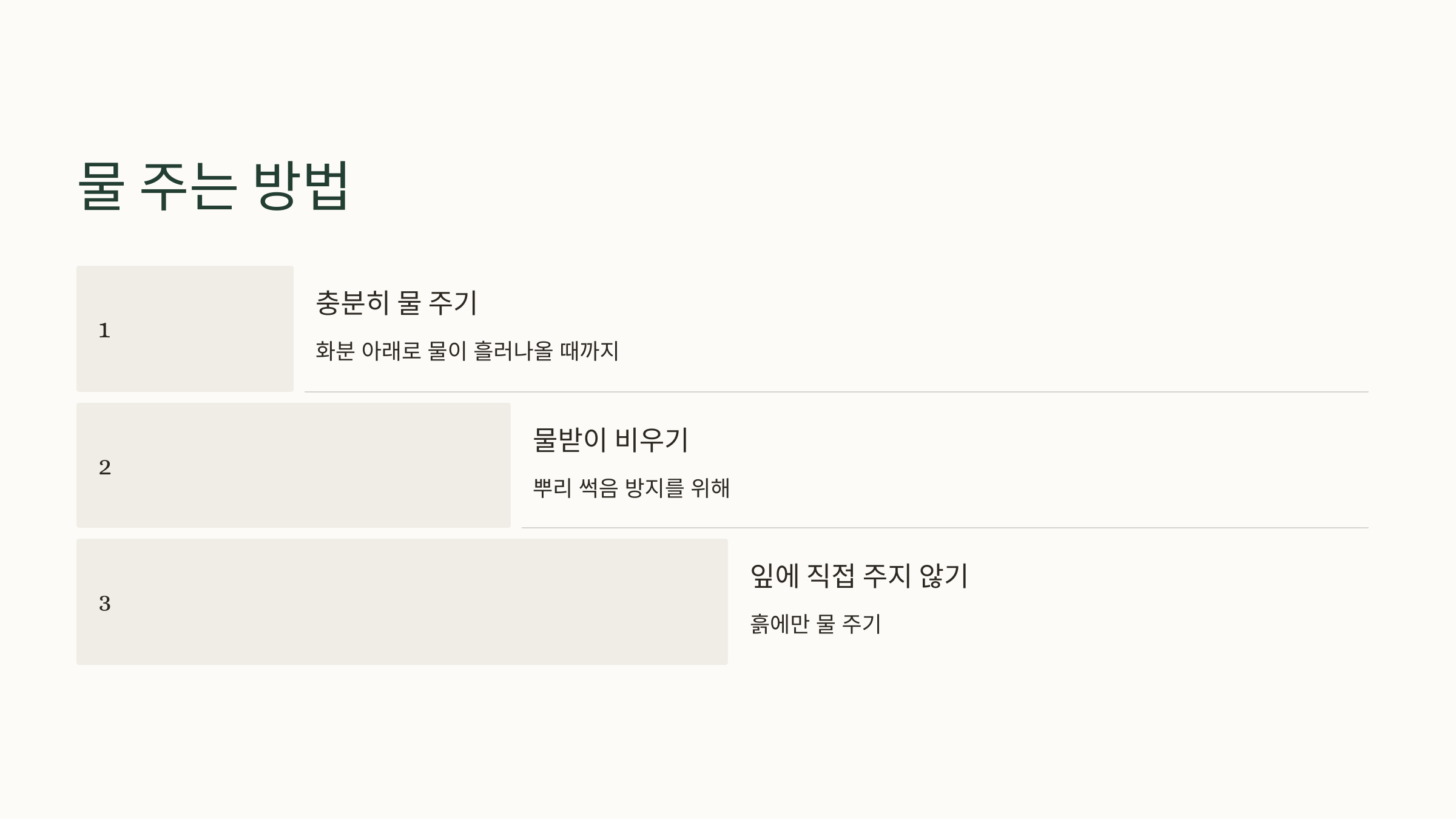 산세베리아 사진입니다.