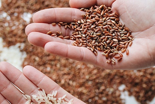 위장 건강에 나쁜 음식