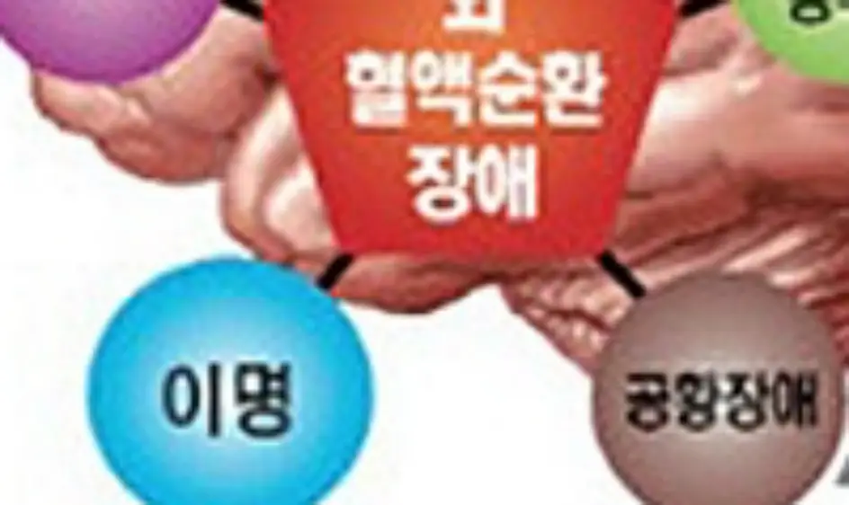어지럼증에 좋은 음식