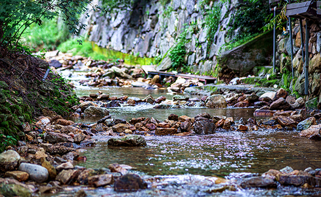 고기리계곡: 음식점과 카페, 자연의 조화