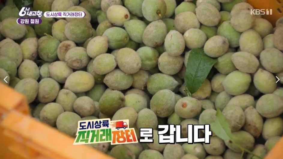 6시내고향 도시상륙 직거래장터 철원 개복숭아