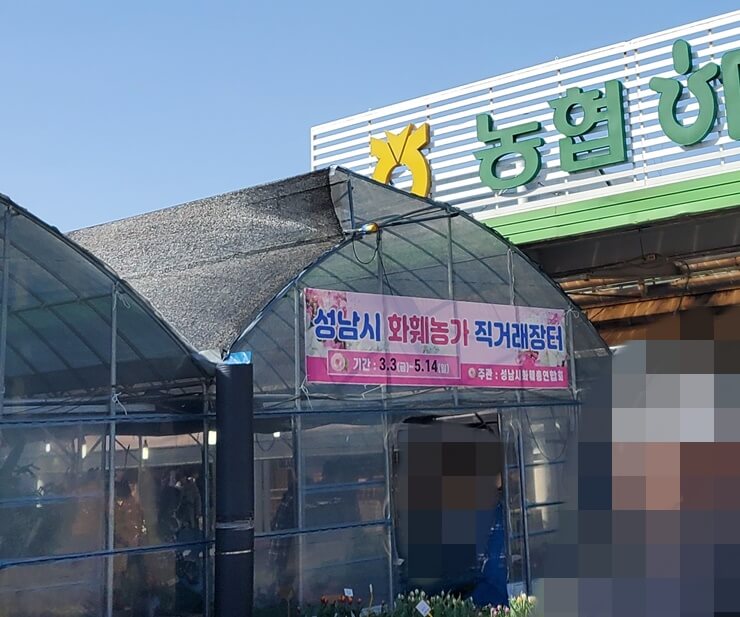 성남 하나로마트 앞 화훼장터 모습