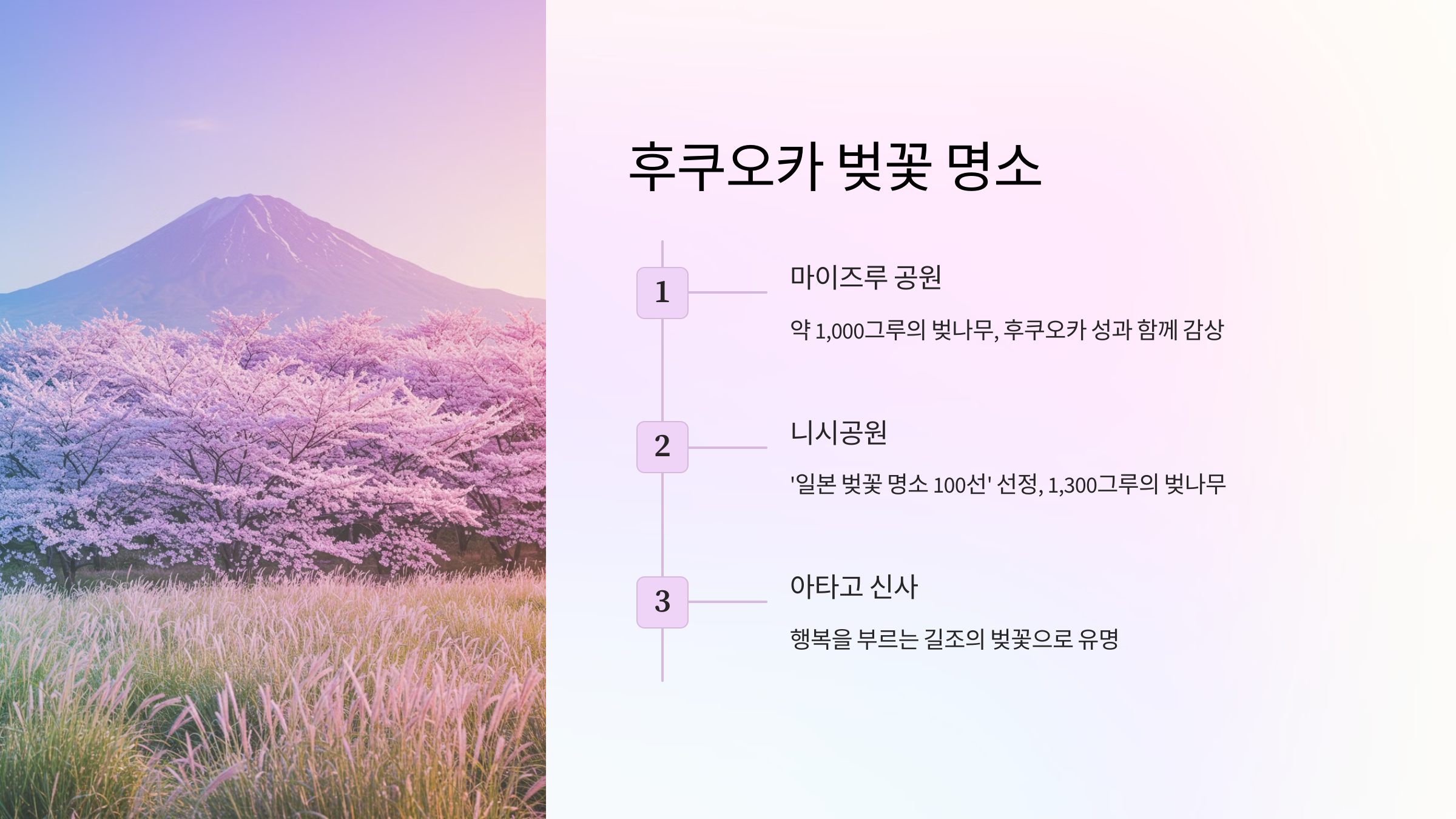 후쿠오카 벚꽃 명소