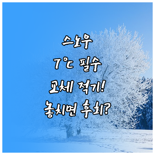 스노우타이어 교체 적기 과학적 기준 ..