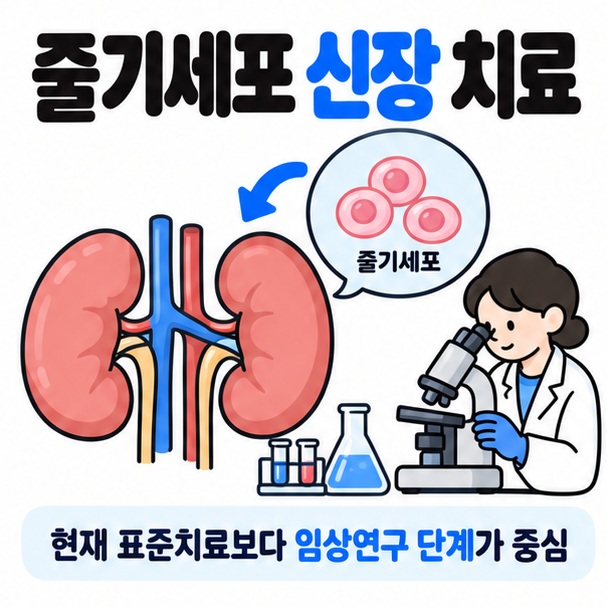 신장과 줄기세포 실험실 아이콘을 중심으로 줄기세포 신장 치료 문구와 아직 임상연구 단계라는 핵심을 보여주는 차분한 카드뉴스 이미지