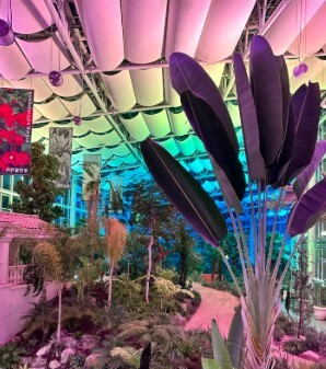 수원 일월·영흥수목원 야간 개장: 체험, 야외공연