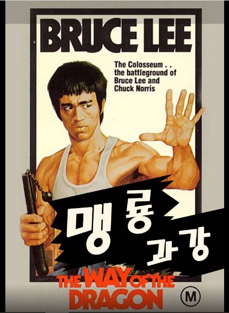 영화 맹룡과강 포스터.