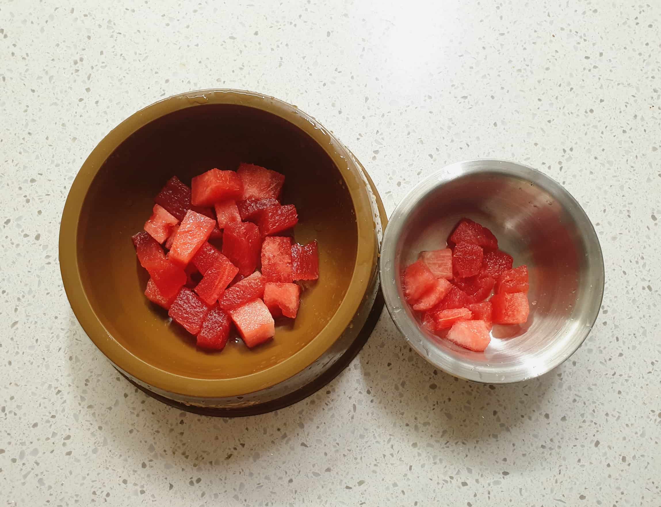 강아지 수박 급여량
