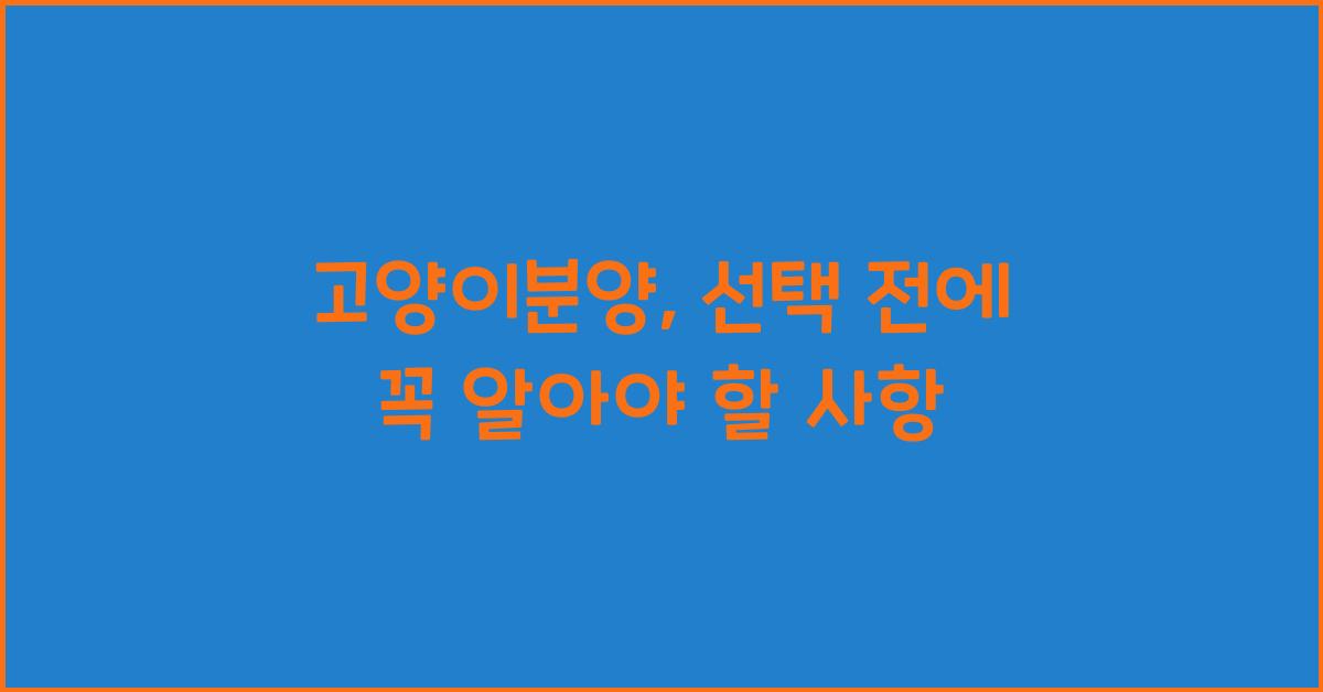 고양이분양